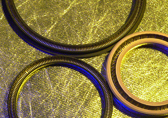 產(chǎn)品名稱：CITSE 8100自緊式密封